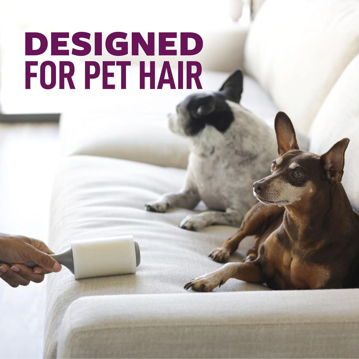 Scotch-Brite Pet Hair Extra Sticky Lint Roller,200 Sheets Total, 2 Pack